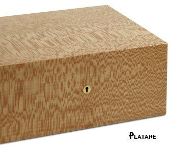 Elie Bleu - "Classic" box in ebony for 8 watches and 20 cufflinks